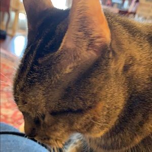 Meet your Posher, Barbara